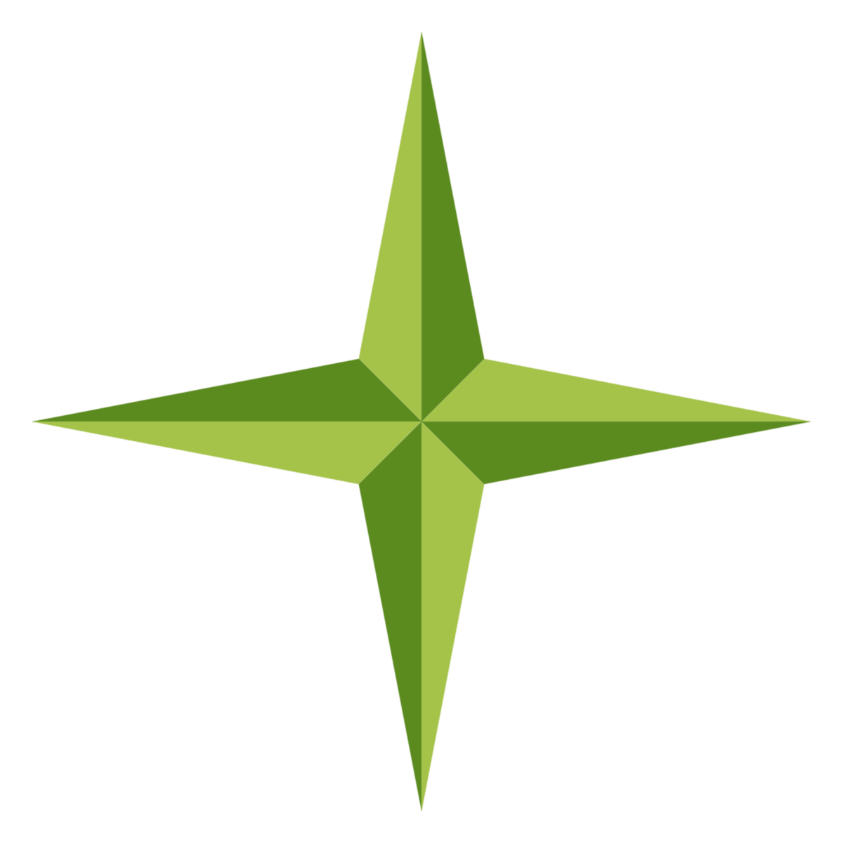NAVIGON
